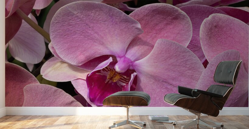 Whispers of Grace Impression murale