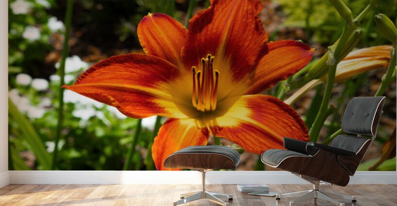 Ember Bloom Wall Murals