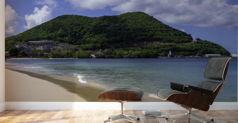 Where the Hills Meet the Tide Wall Murals