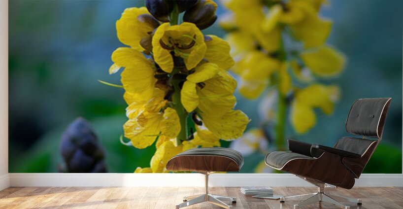 Whispers of Bloom and Light Wall Murals