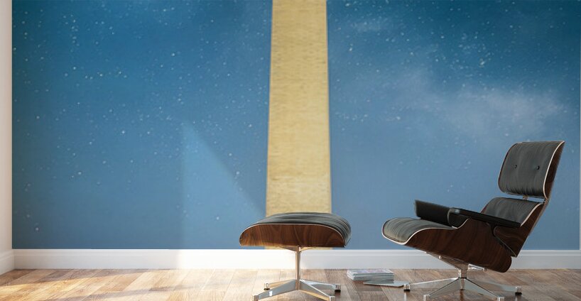 Sentinel Under Stars Wall Murals