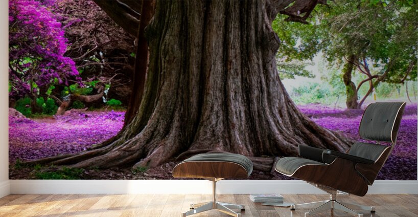 Majestic Roots Wall Murals