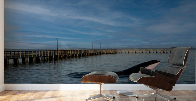 Serenity Interrupted Wall Murals