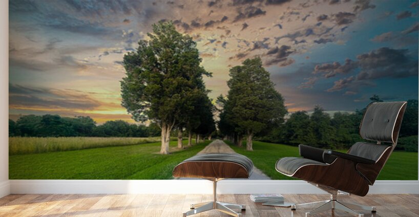 Pathway to Serenity Wall Murals