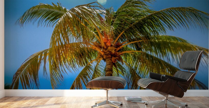 Miami Palm Wall Murals