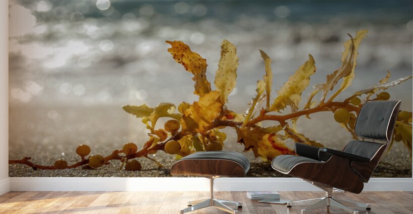 Tethered Light Wall Murals