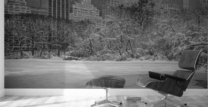 After the storm Wall Murals