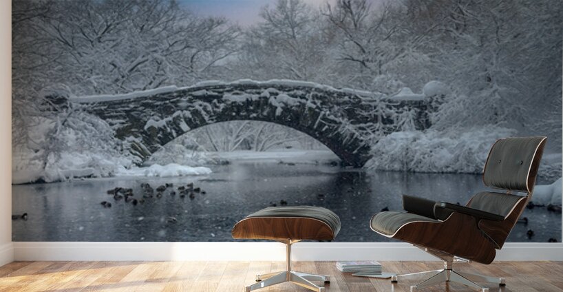 Stillness Beneath the Winter Bridge Wall Murals