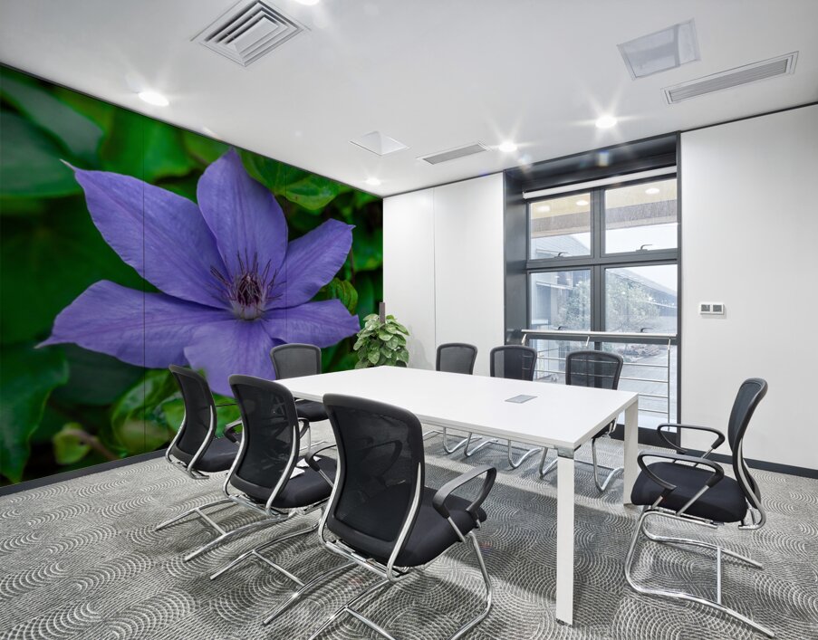 Radiant Bloom  Wall Printing