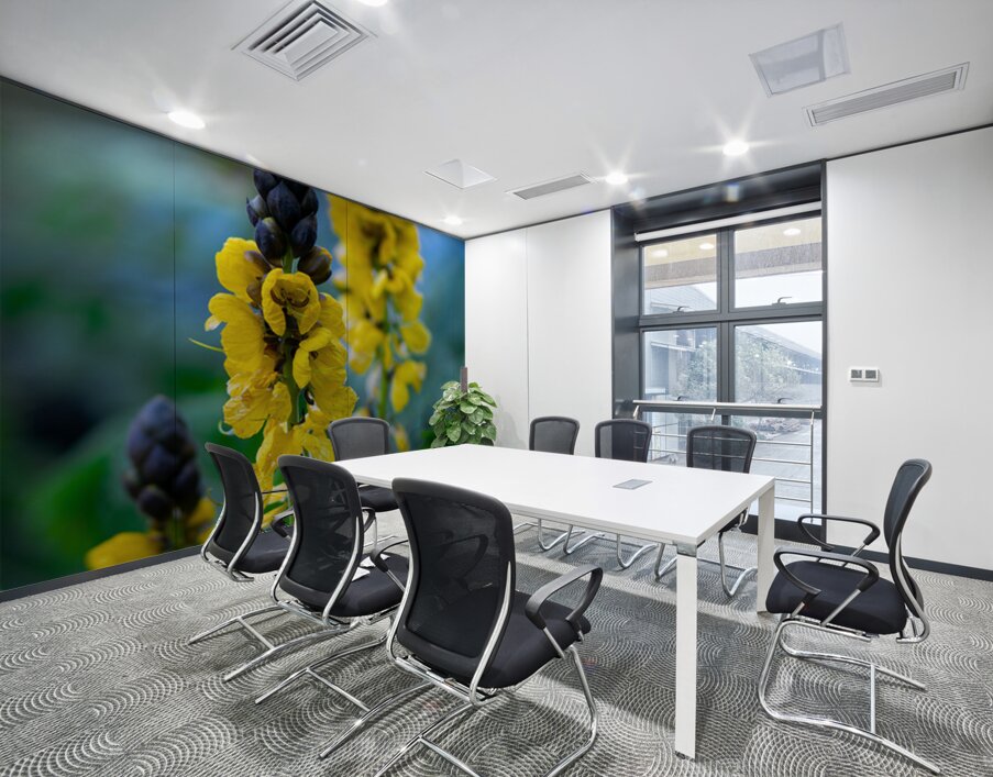 Whispers of Bloom and Light Wall Printing