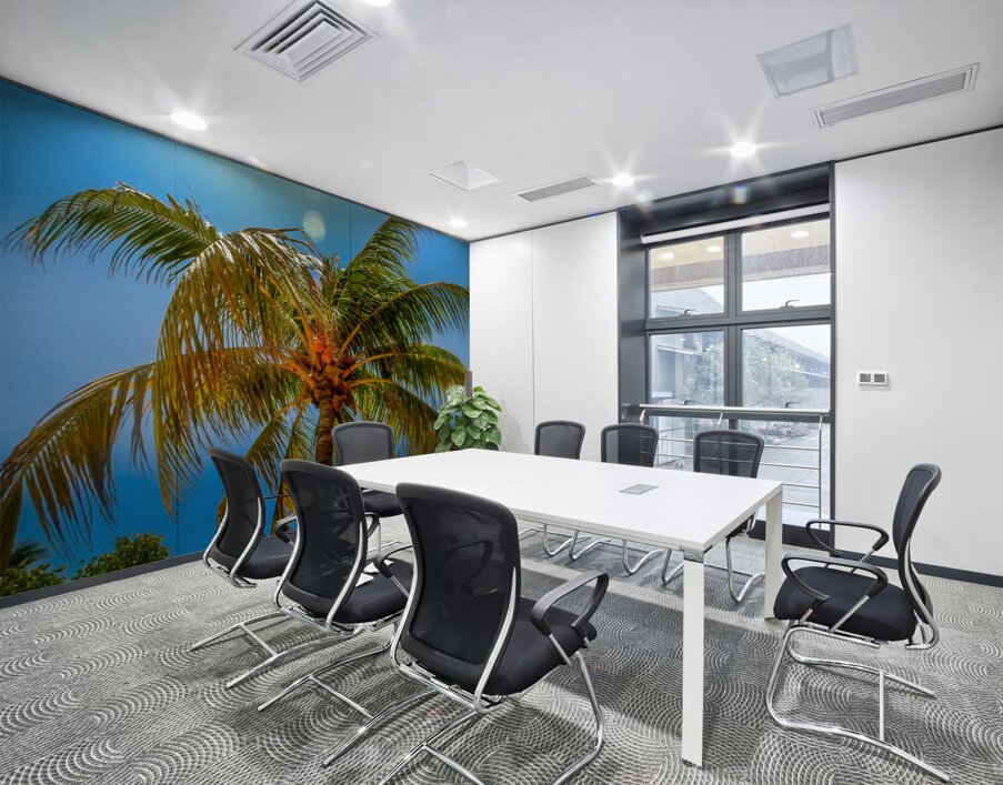 Miami Palm Wall Printing