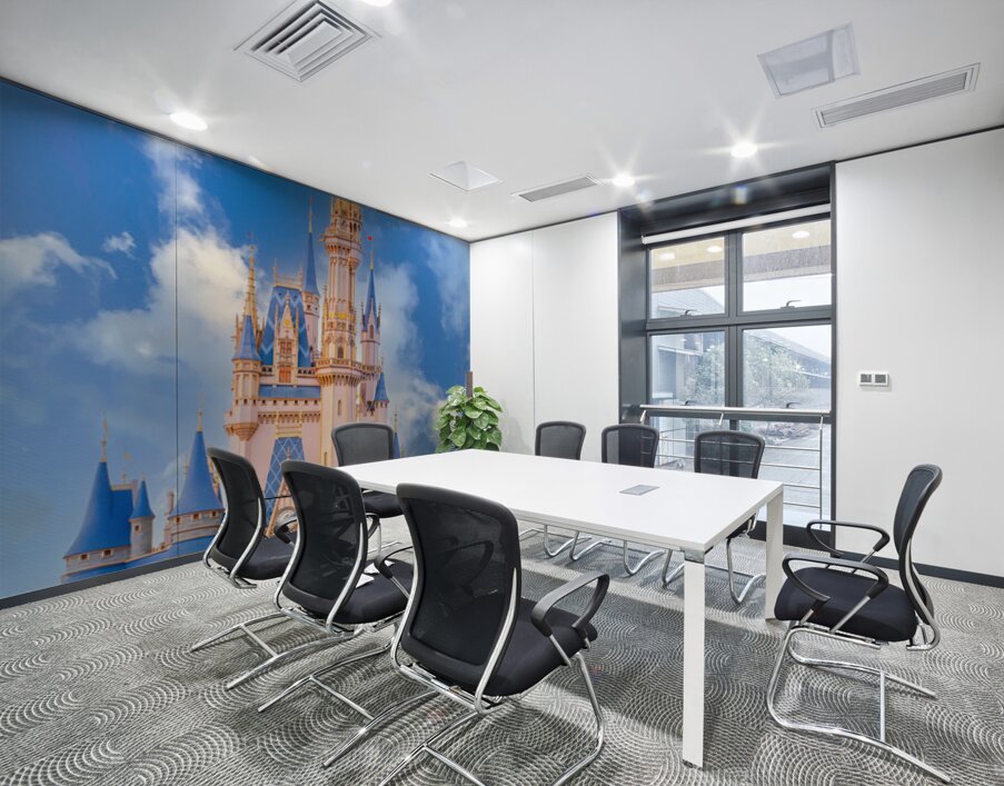 Cinderella’s Castle Wall Printing