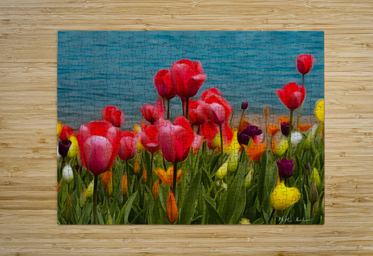Tulips by the Water  Henley Lens Puzzle printing