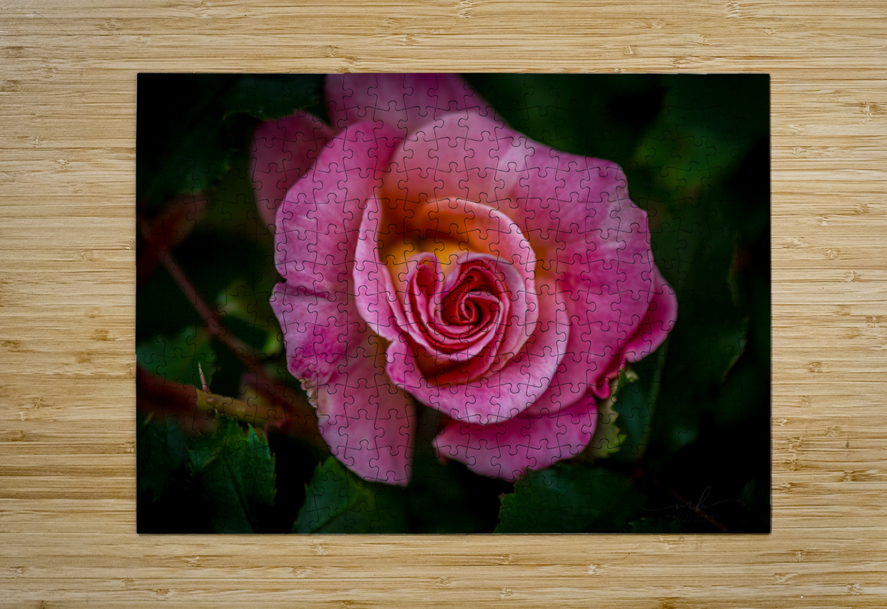 Blushing Beauty Henley Lens Puzzle printing