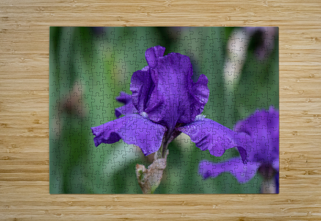 Majestic Violet Henley Lens Puzzle printing