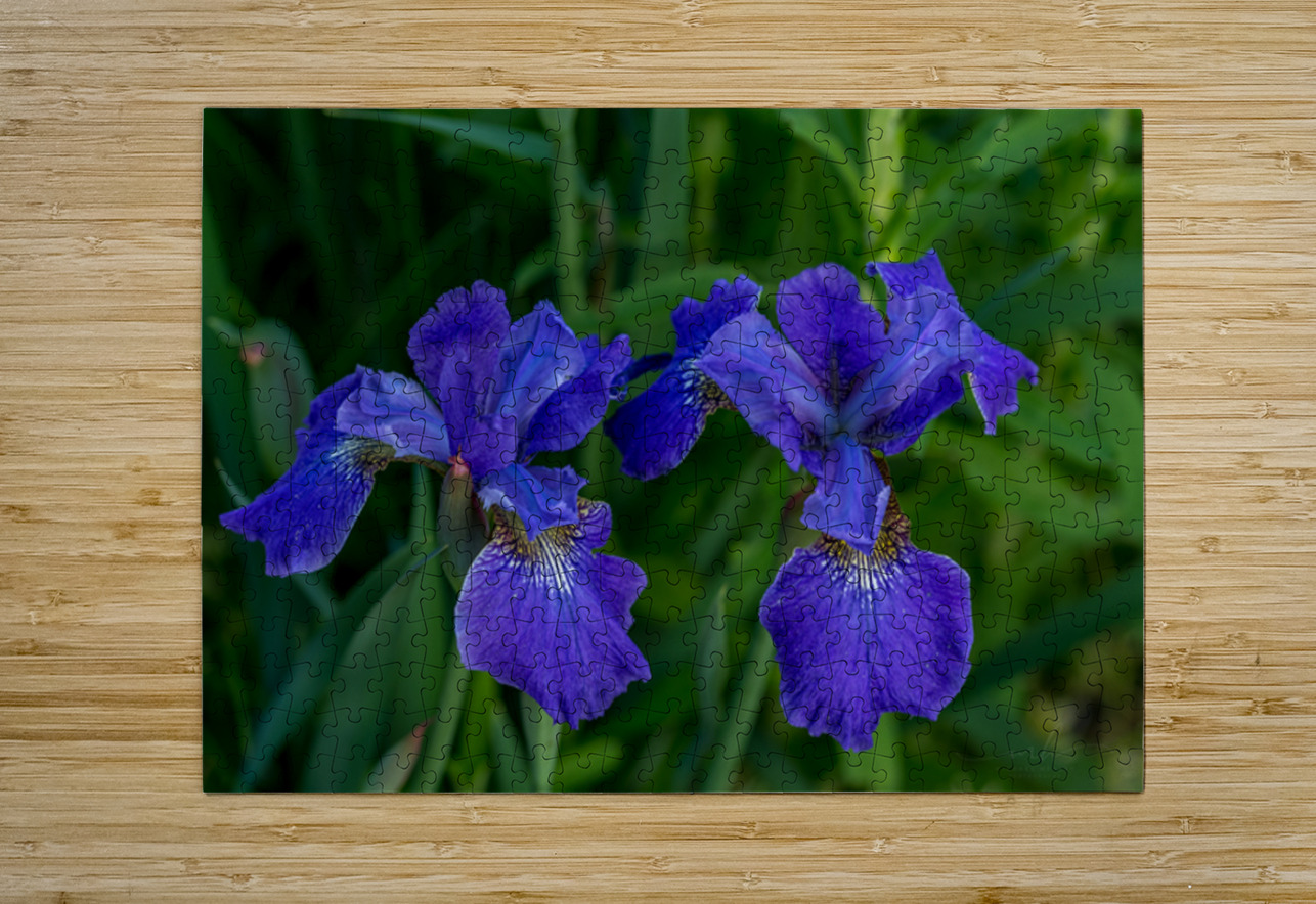 Azure Elegance Henley Lens Puzzle printing