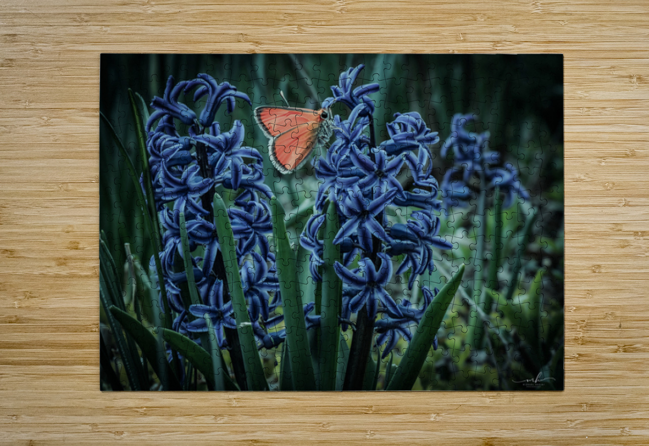 Harmony in Bloom  Henley Lens Puzzle printing