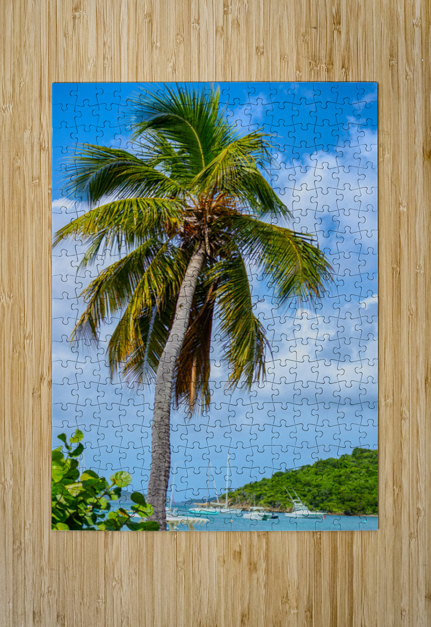 Whispers of the Horizon Henley Lens Puzzle printing