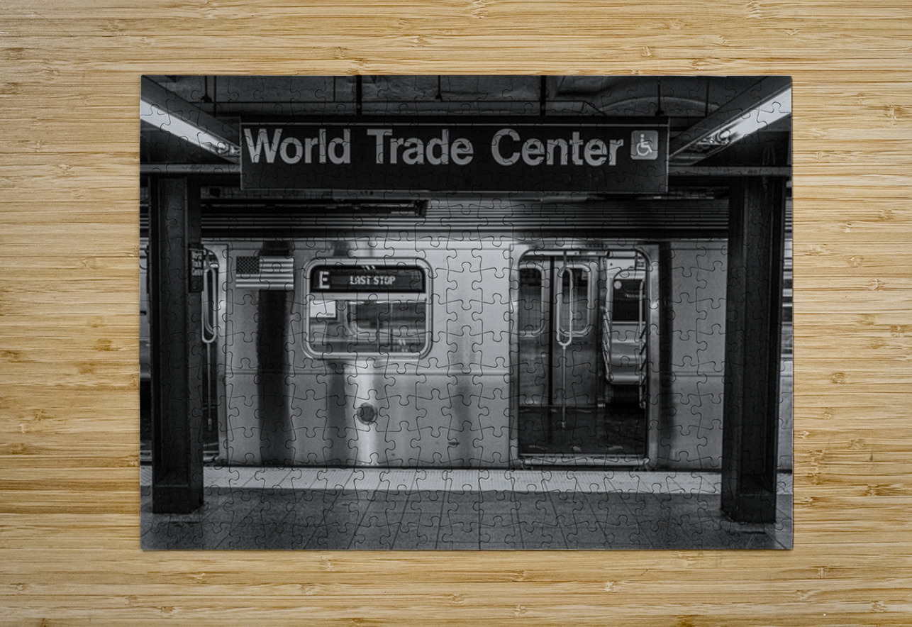 Terminus of Echoes Henley Lens Puzzle printing