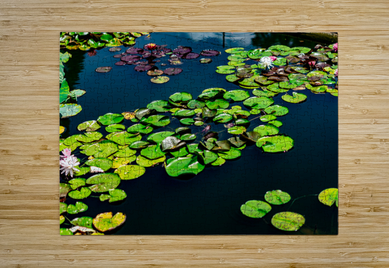 Whispers Beneath the Surface Henley Lens Puzzle printing