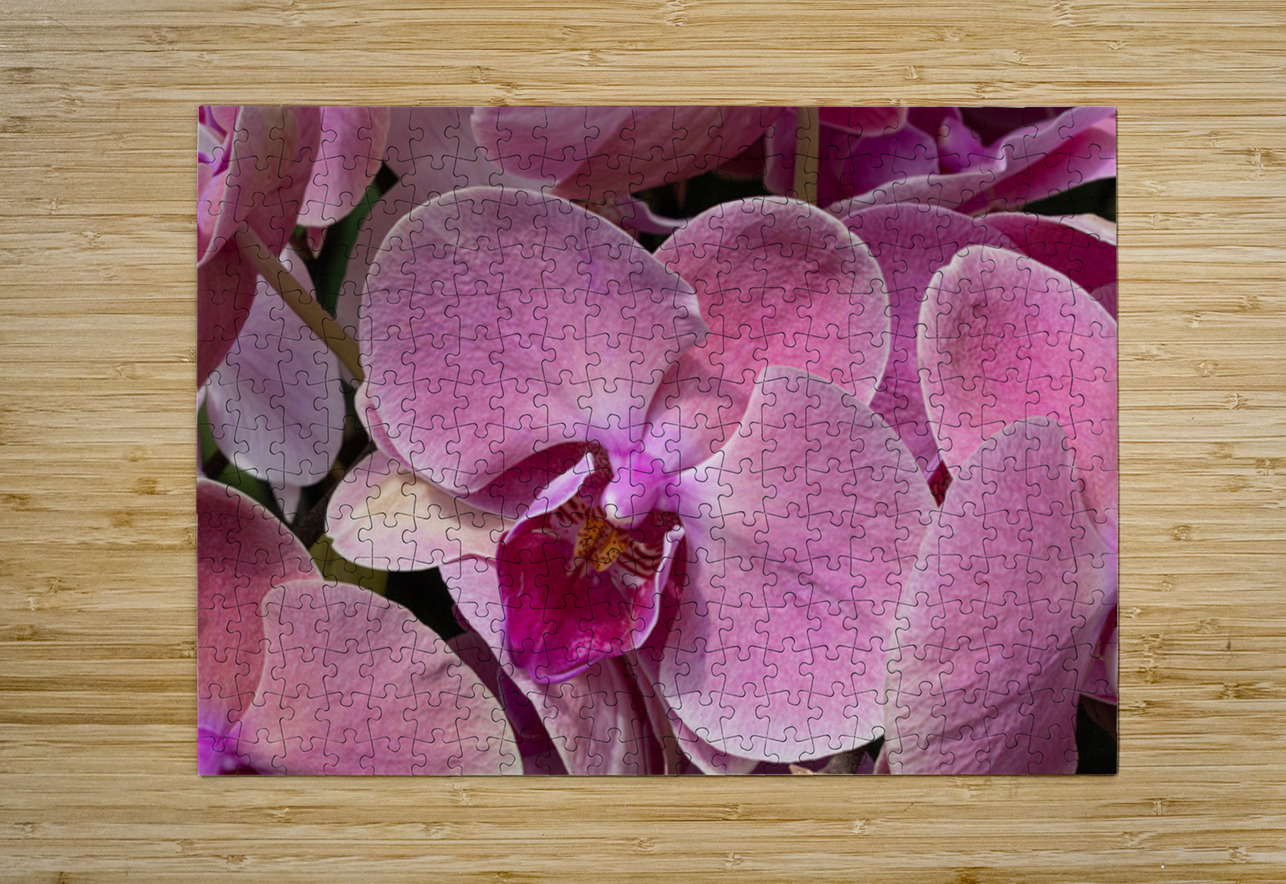 Whispers of Grace Henley Lens Impression de puzzle