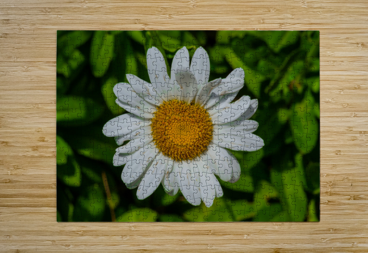 Solstice Whisper Henley Lens Puzzle printing