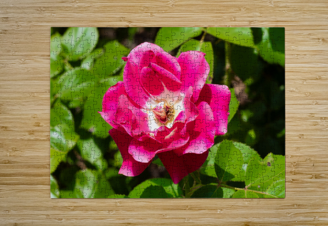 Roselle Rising Henley Lens Puzzle printing