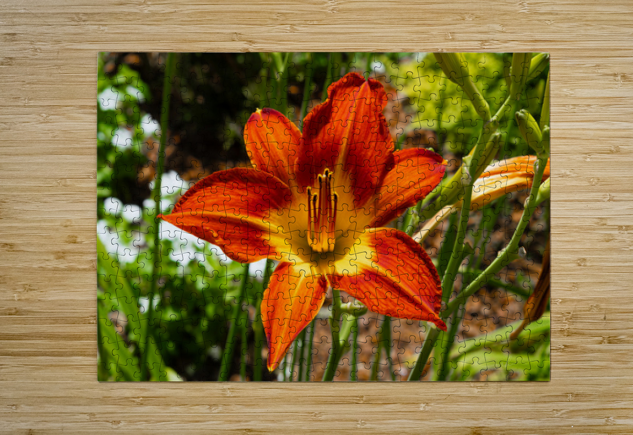 Ember Bloom Henley Lens Puzzle printing