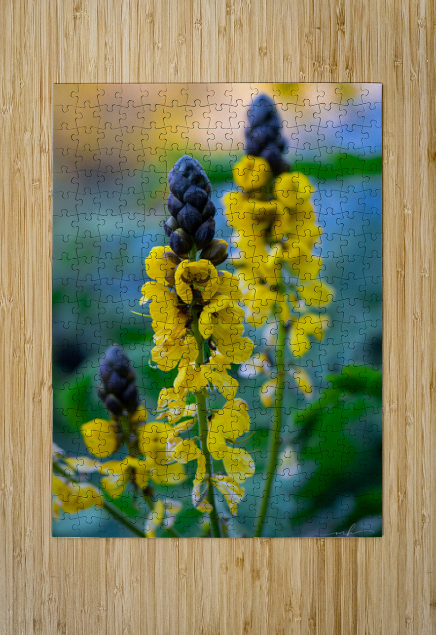 Whispers of Bloom and Light Henley Lens Puzzle printing