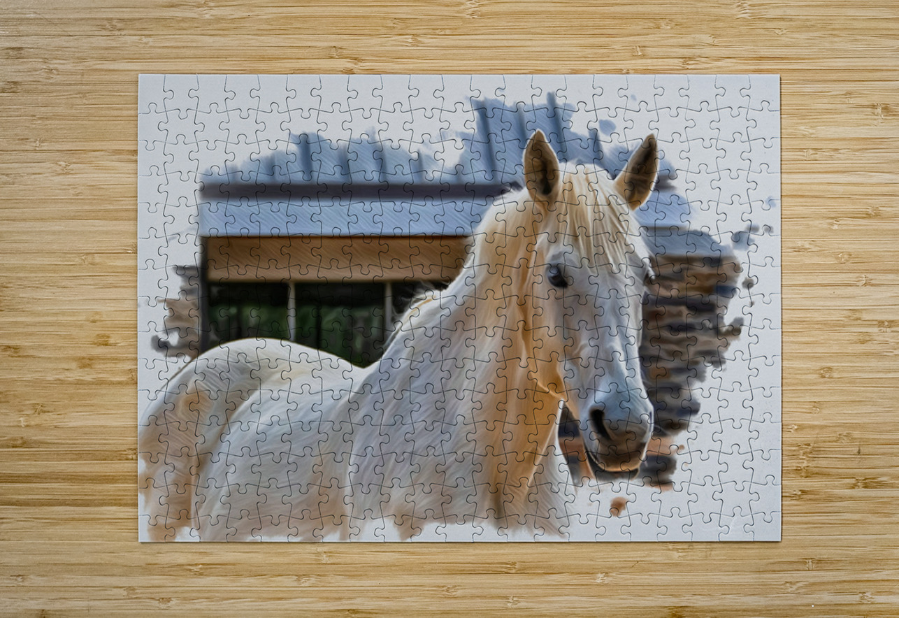 Keeper of Quiet Light Henley Lens Puzzle printing