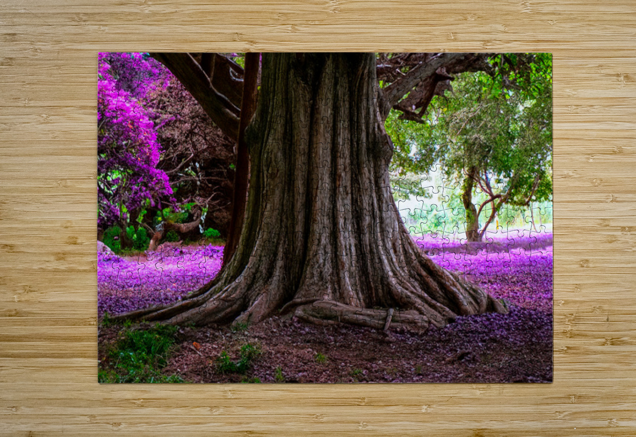 Majestic Roots Henley Lens Puzzle printing