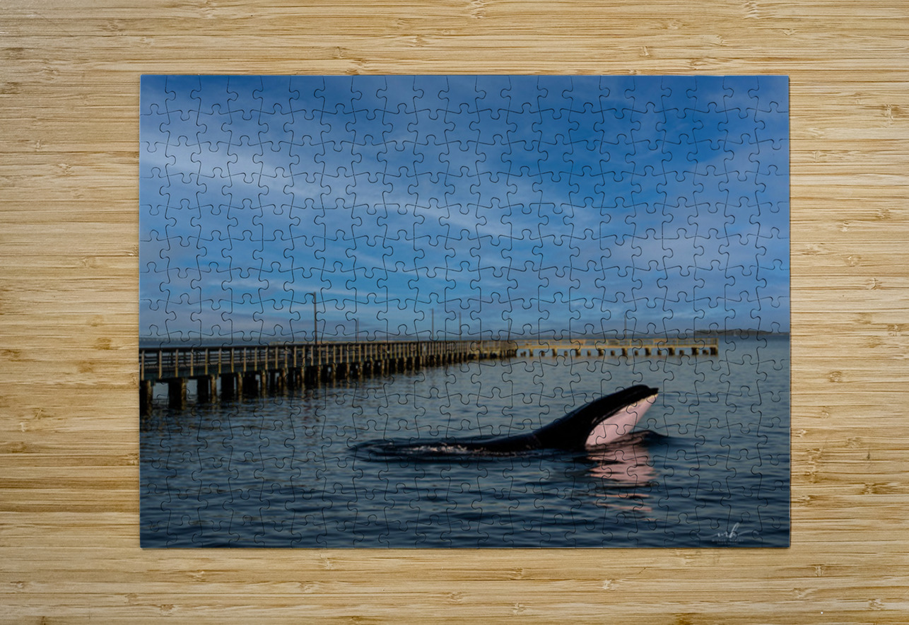 Serenity Interrupted Henley Lens Puzzle printing