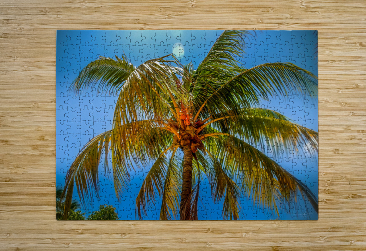 Miami Palm Henley Lens Puzzle printing