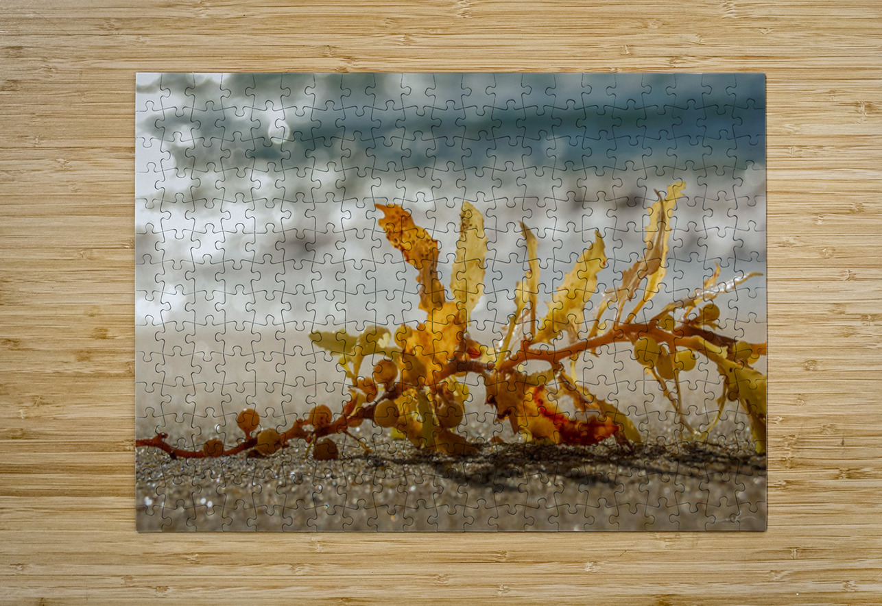 Tethered Light Henley Lens Puzzle printing