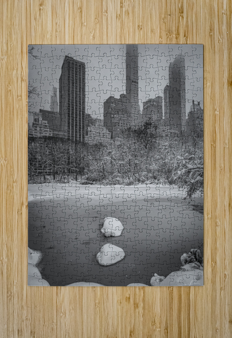 After the storm Henley Lens Puzzle printing