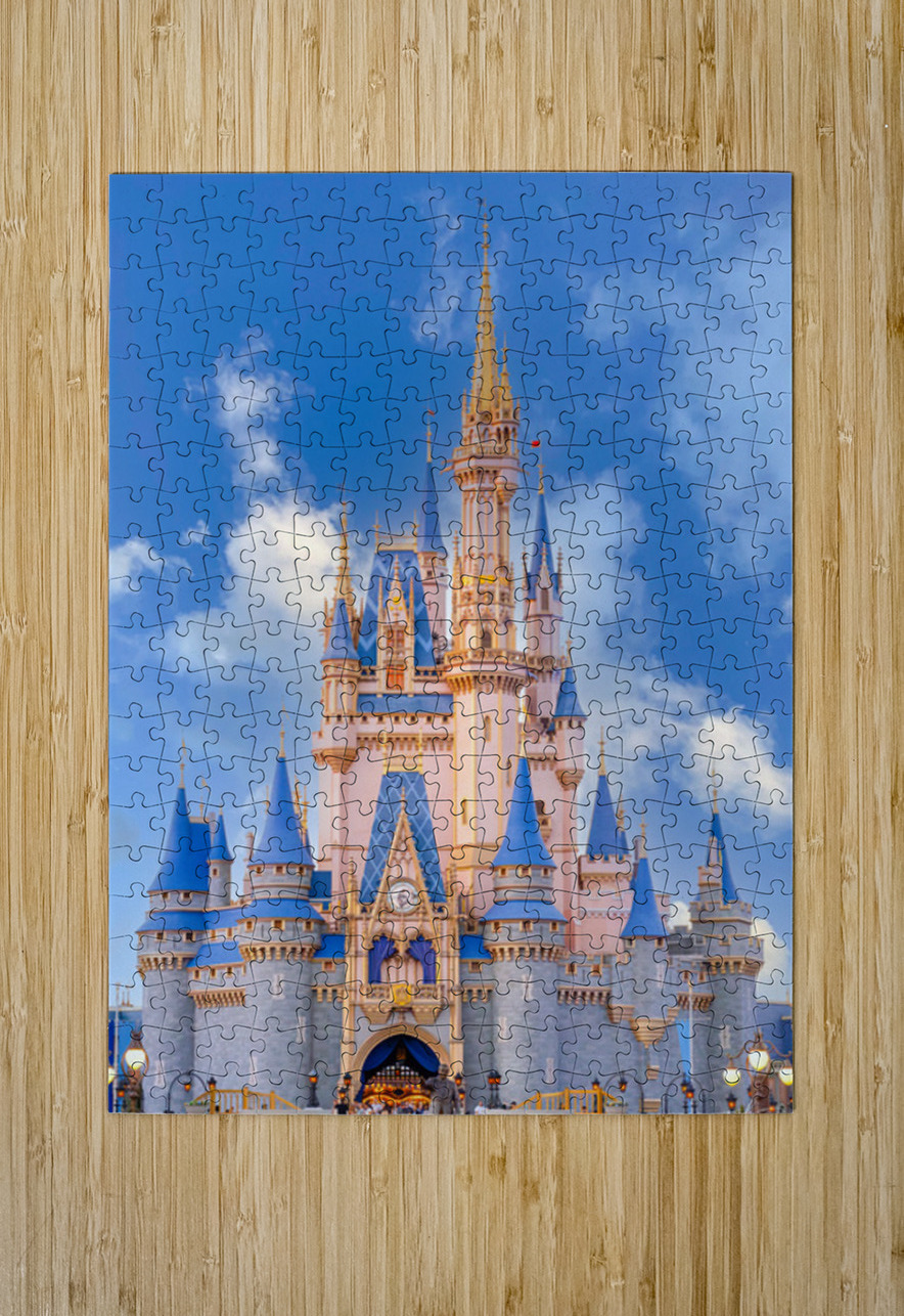 Cinderella’s Castle Henley Lens Puzzle printing