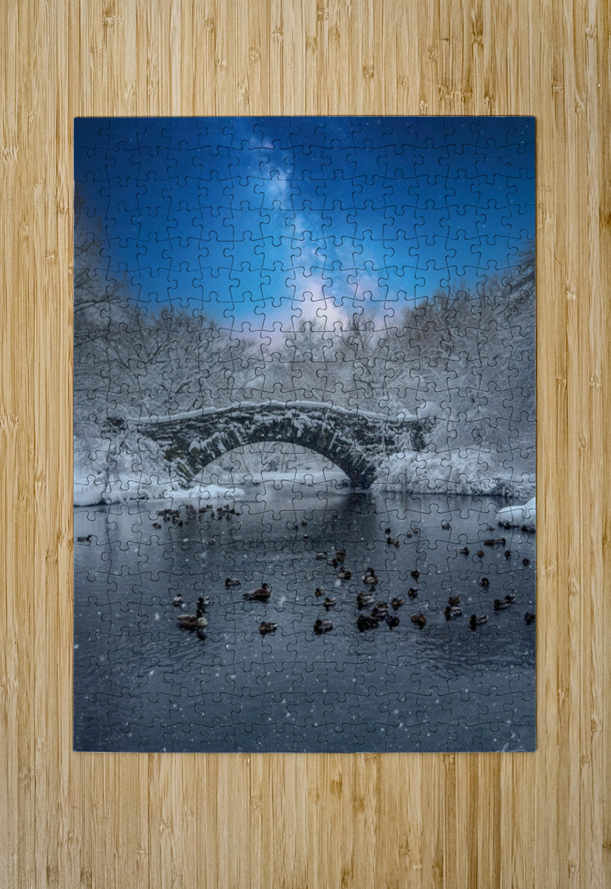 Stillness Beneath the Winter Bridge Henley Lens Puzzle printing
