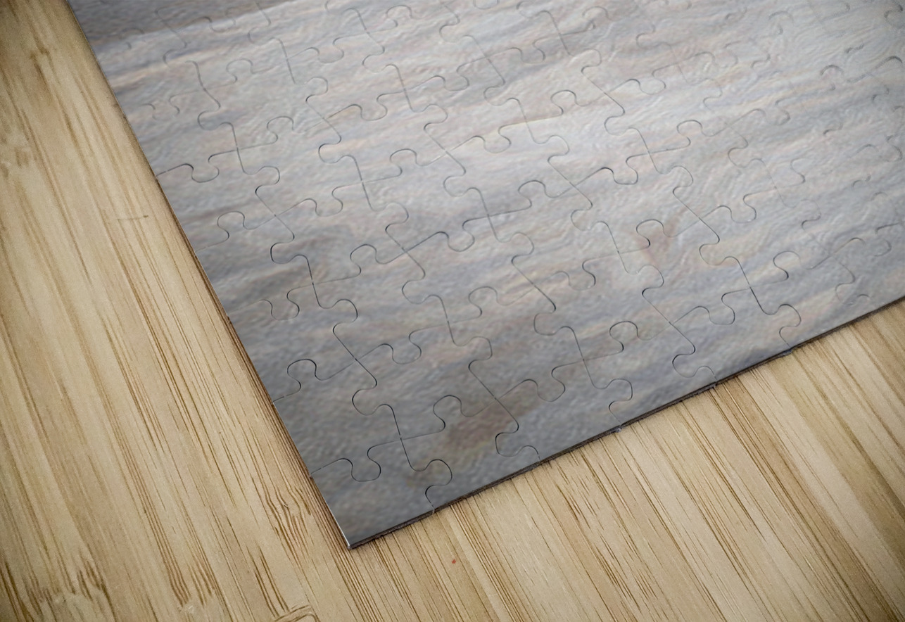 Embrace of the Waves  Henley Lens Puzzle