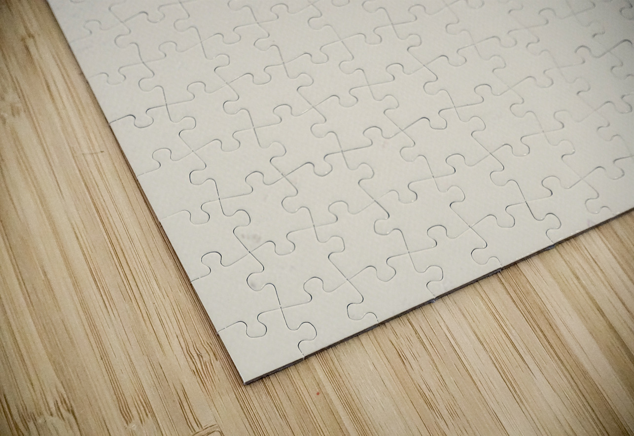 Solitude by the Shore   Henley Lens Puzzle