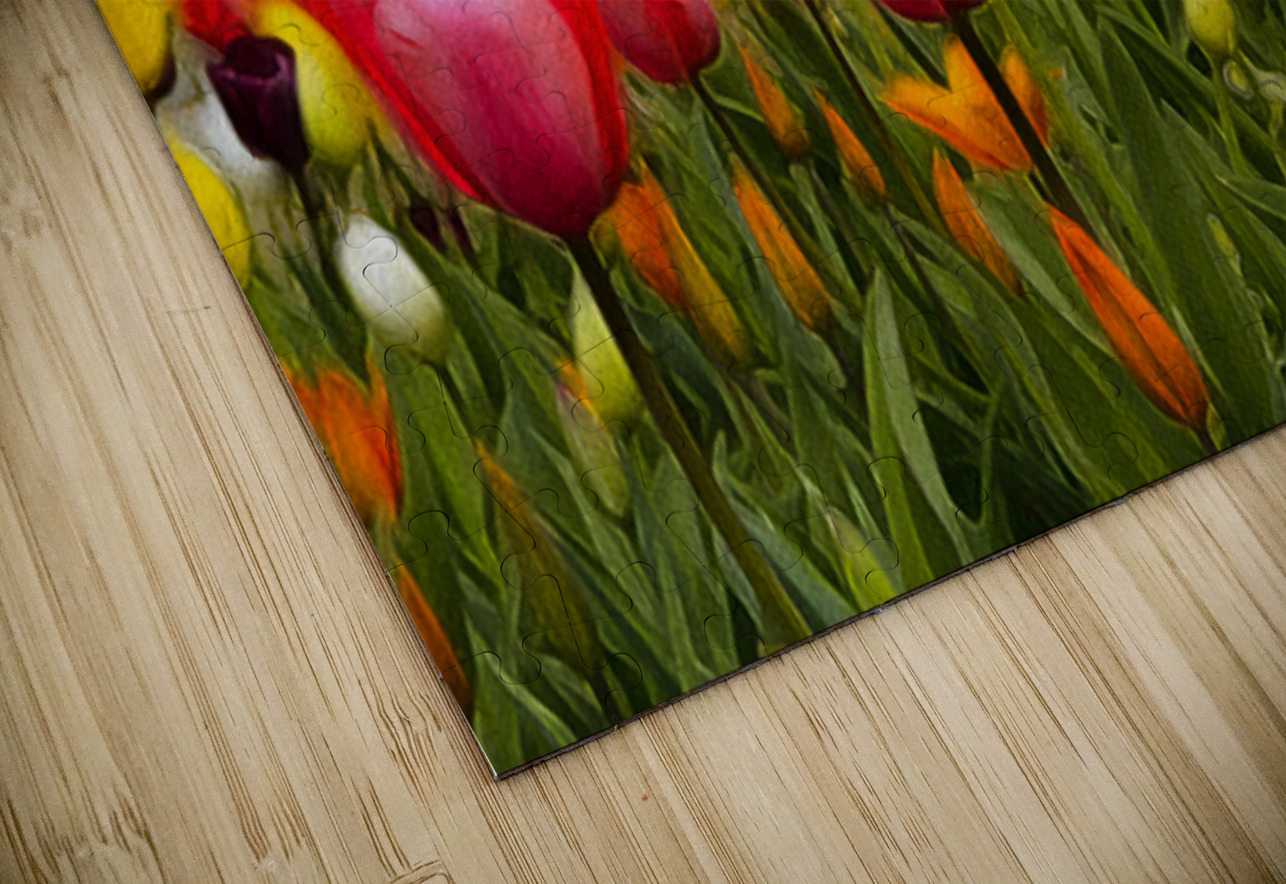Tulips by the Water  Henley Lens Puzzle
