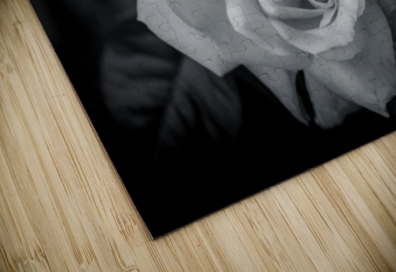 Timeless Elegance Henley Lens Puzzle