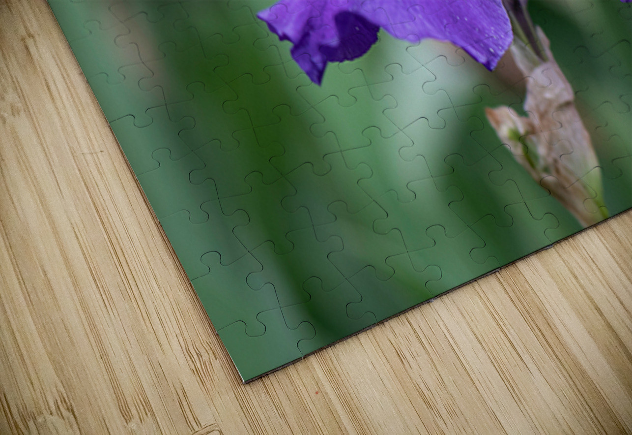 Majestic Violet Henley Lens Puzzle