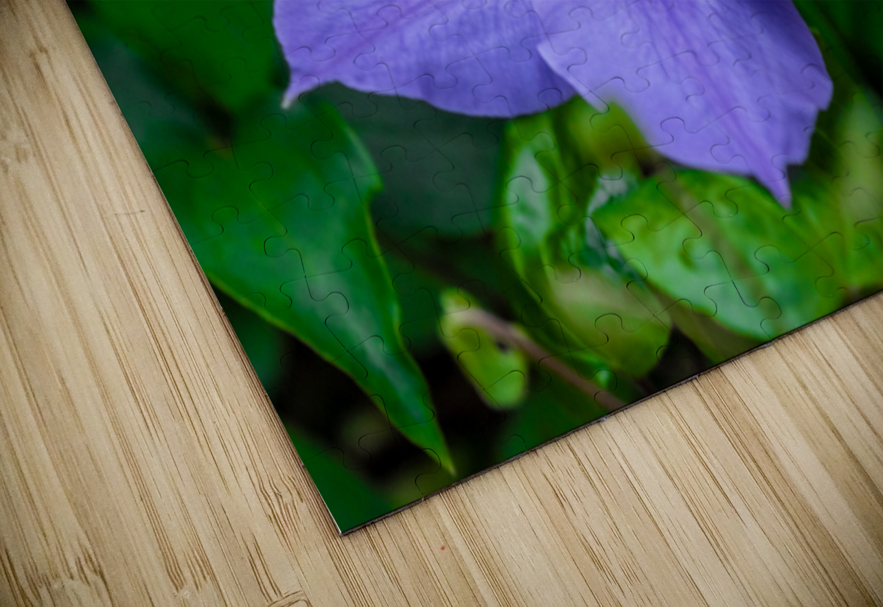 Radiant Bloom  Henley Lens Puzzle