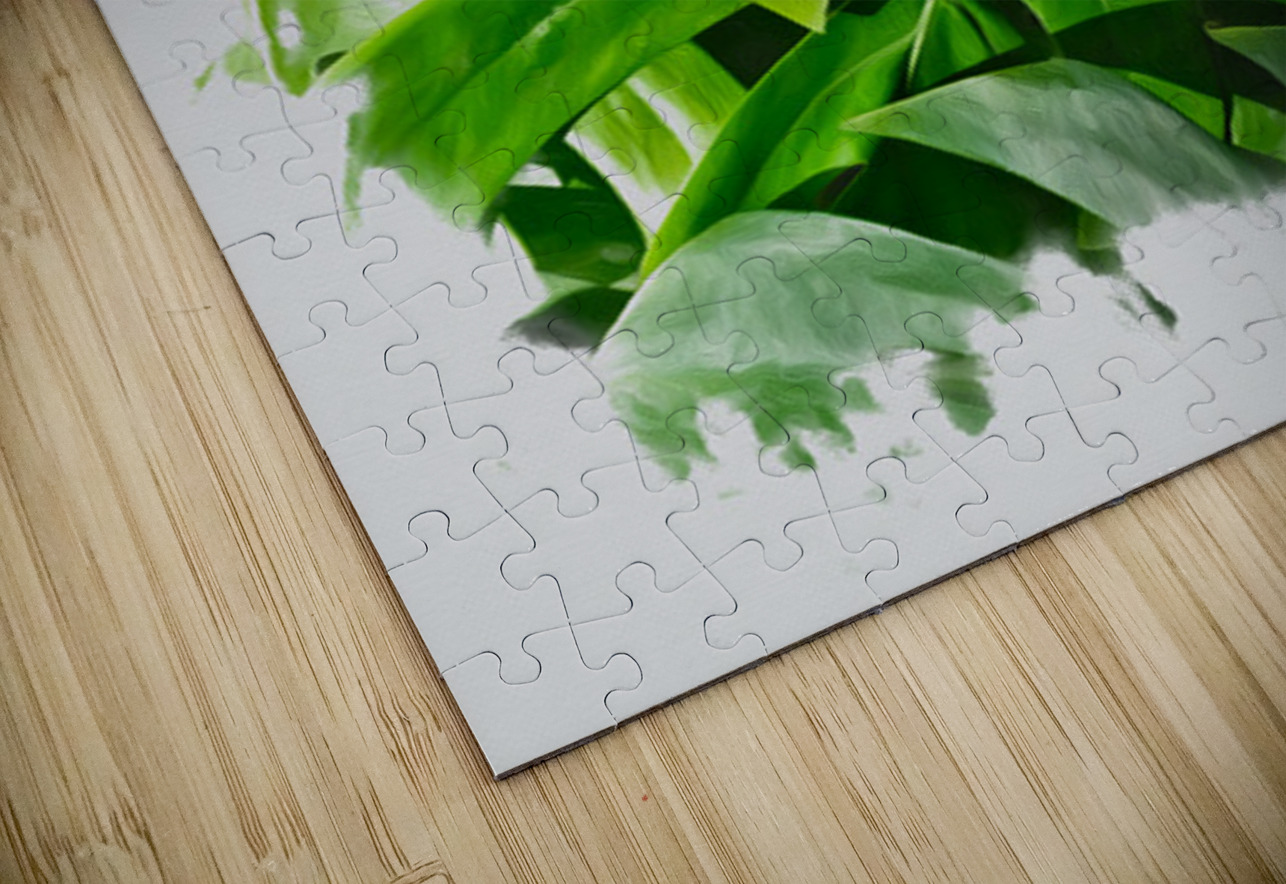 Still Verdant Henley Lens Puzzle