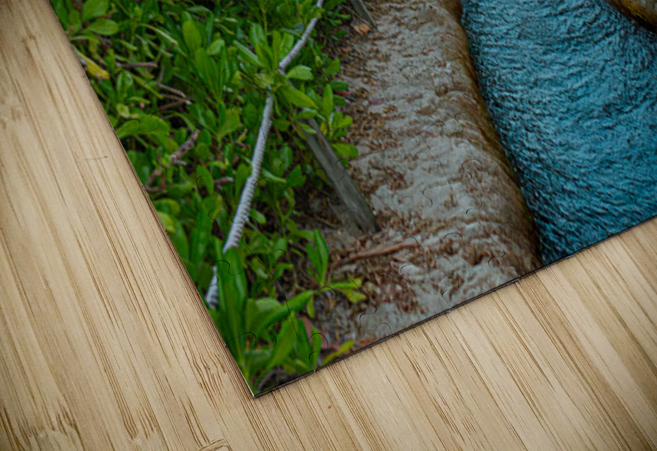 Path of Stillness Henley Lens Puzzle