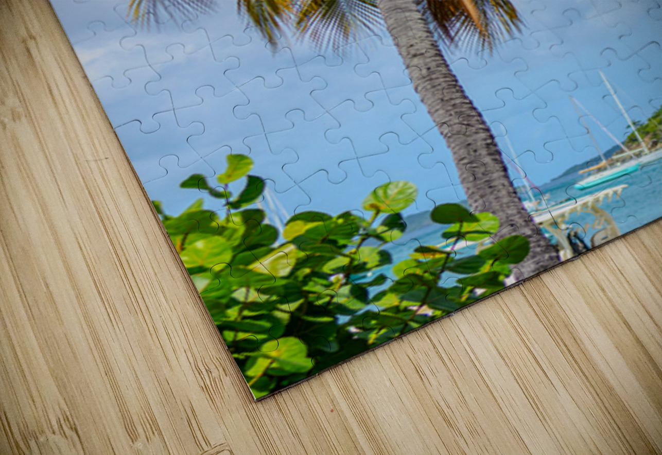 Whispers of the Horizon Henley Lens Puzzle