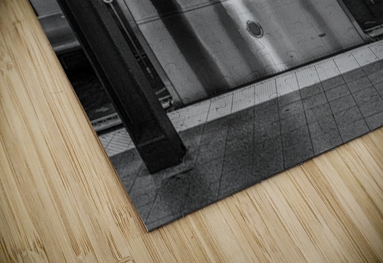 Terminus of Echoes Henley Lens Puzzle