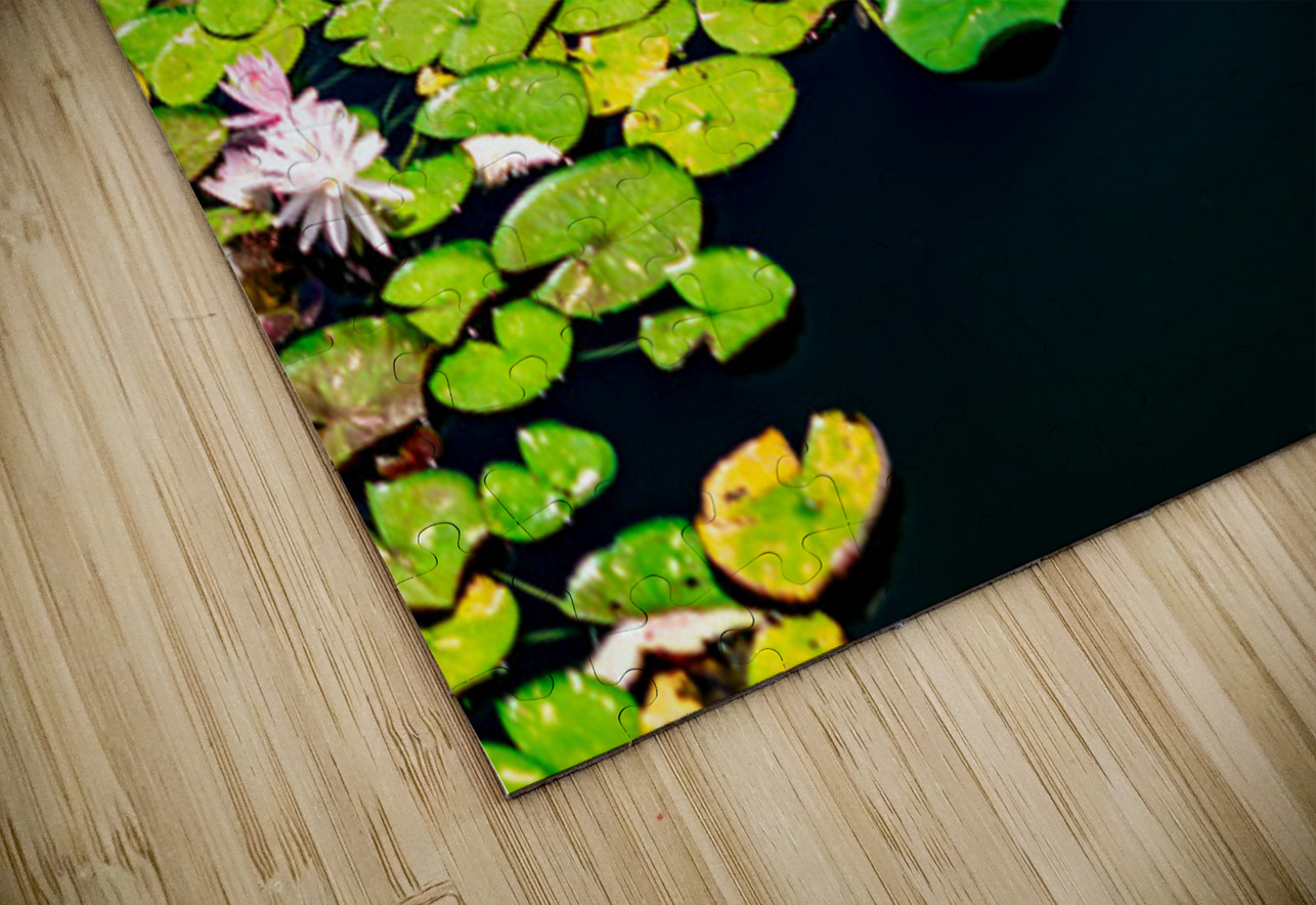 Whispers Beneath the Surface Henley Lens Puzzle