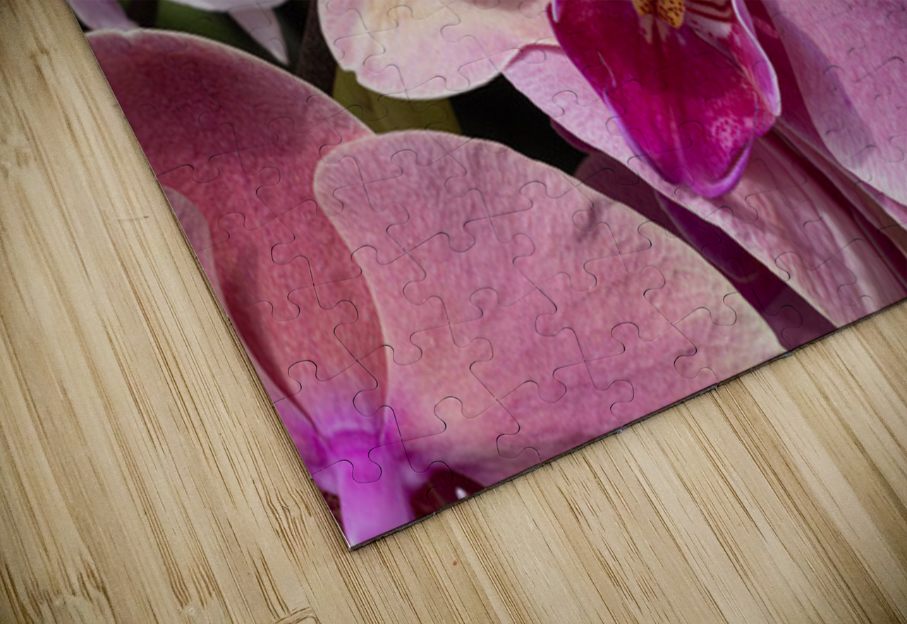 Whispers of Grace Henley Lens Puzzle