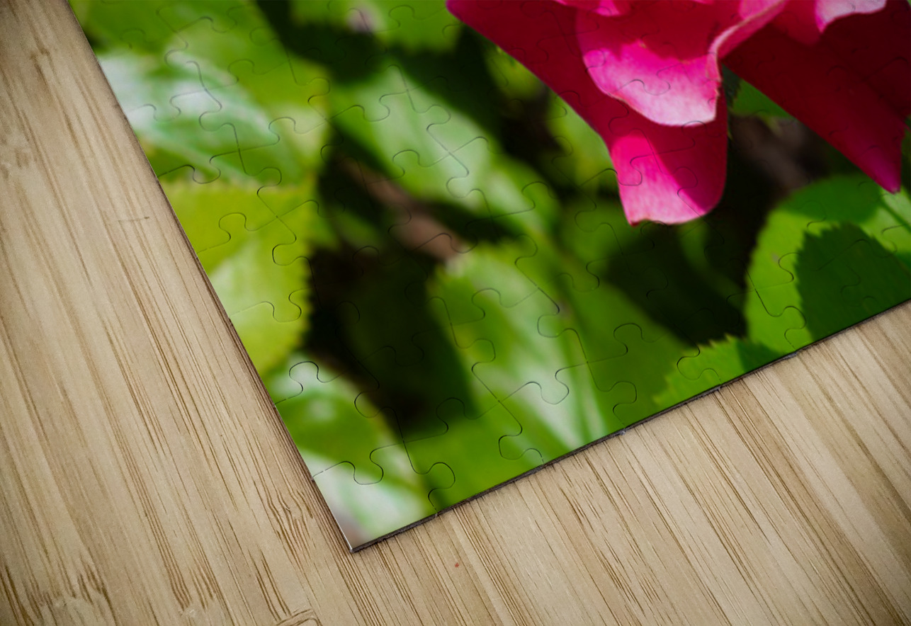 Roselle Rising Henley Lens Puzzle